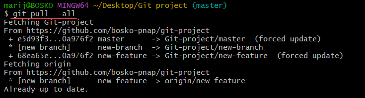 Pull all branches in Git.