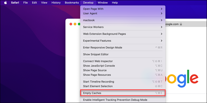 Safari Develop menu Empty caches option