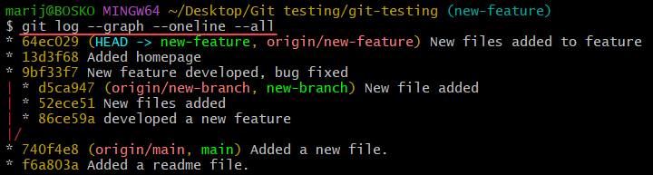 Obtaining the Git repository graph in the terminal.