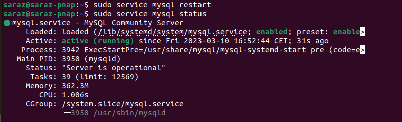 sudo service mysql restart and  sudo service mysql status terminal output