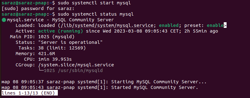 sudo systemctl status mysql terminal output