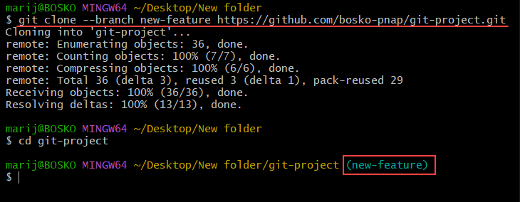 Cloning a repository and checking out a specific Git branch.