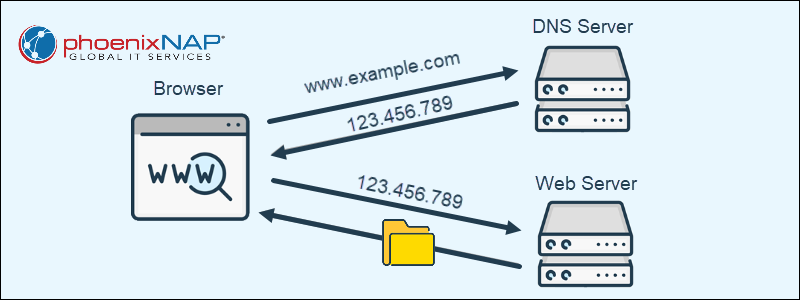 DNS example query