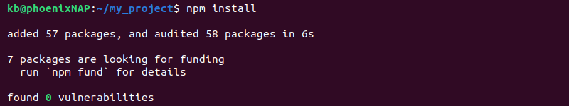 npm install terminal output