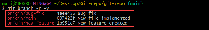 Output a detailed branch list in Git.