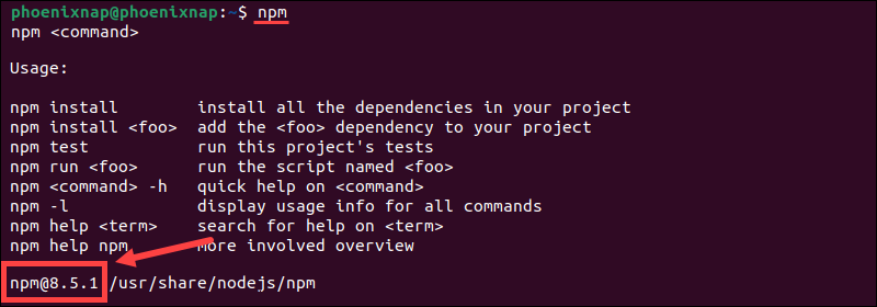 The npm usage page in Ubuntu.