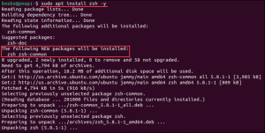 How to Install Zsh on Ubuntu | phoenixNAP KB