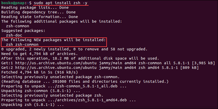 Installing Zsh on Ubuntu.