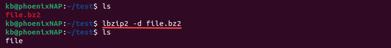 lbzip2 -d file.bz2 terminal output