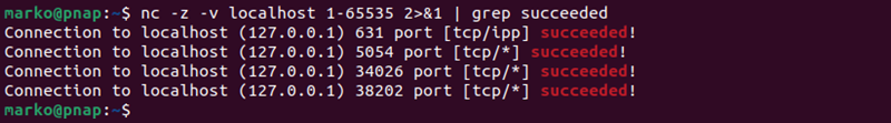 Scanning open ports with netcat.