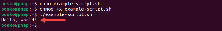 Running a script with the Bash interpreter specified in the shebang line.