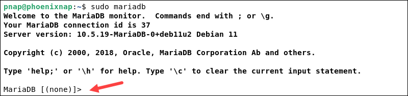 Access the MariaDB shell in Debian.
