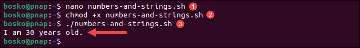 Concatenating numbers and strings in Bash.