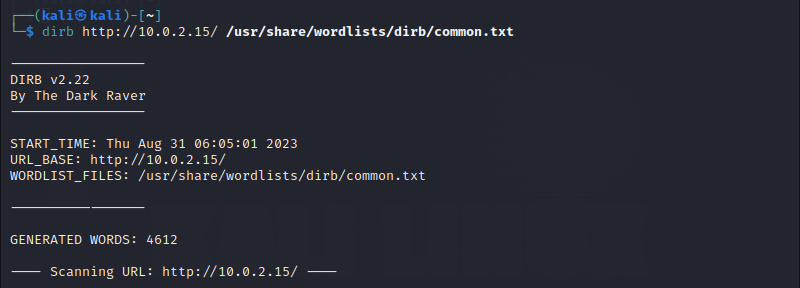 Dirb scanning a server in Kali Linux.