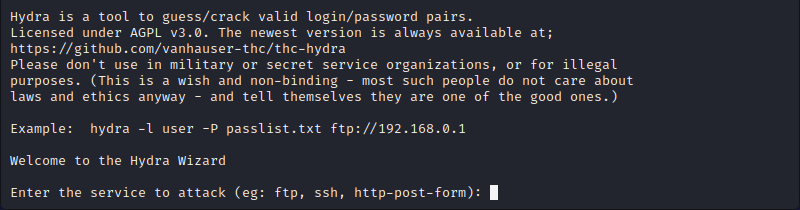 How to use the Hydra password-cracking tool