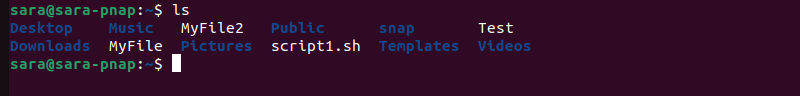 ls terminal output example