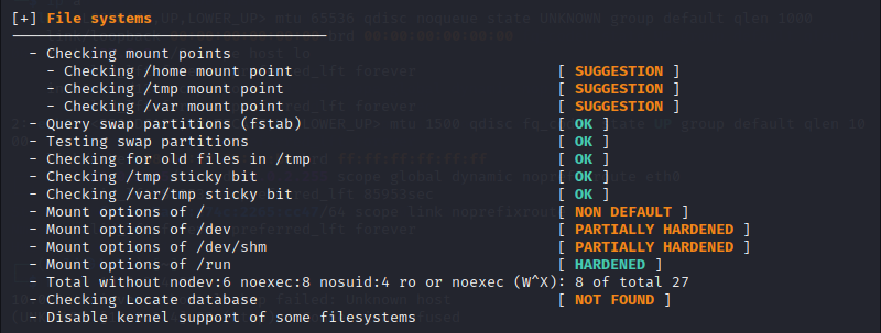 A section of a Lynis report in Kali Linux.