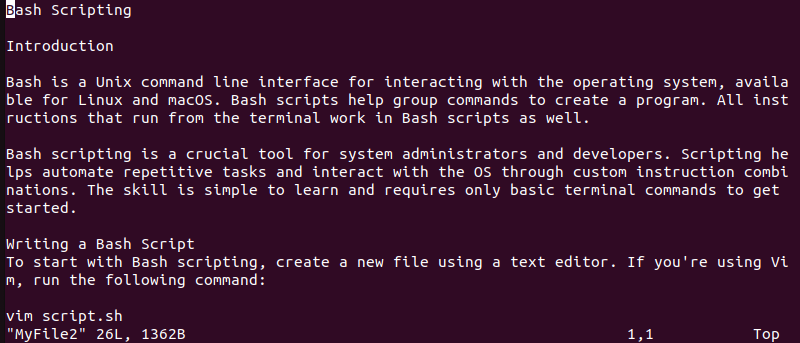 Vim text editor opening a file in Bash