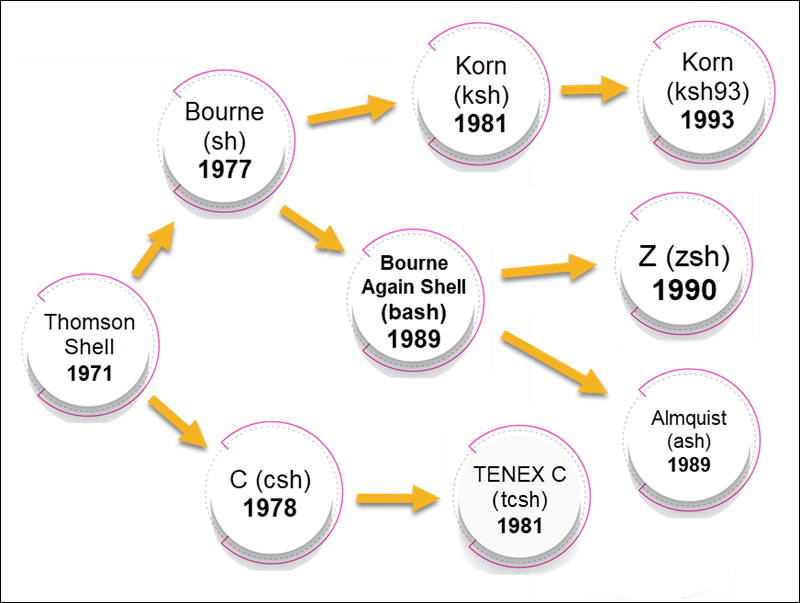 Shell development history.