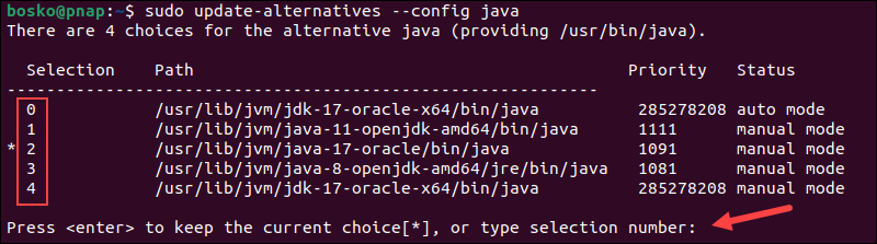 Setting the default Java version.