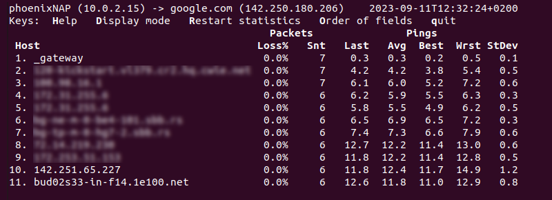 mtr command terminal output