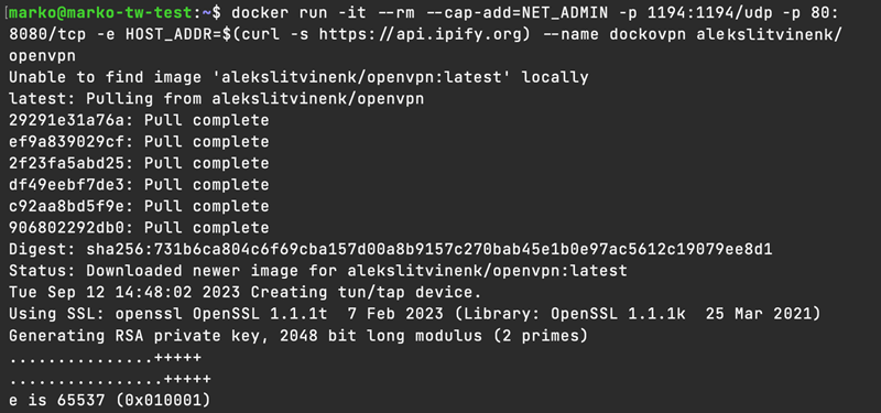 Running a DockOvpn container.