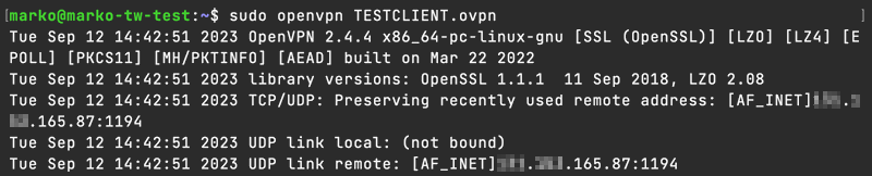 Running an OpenVPN instance with the generated configuration file.
