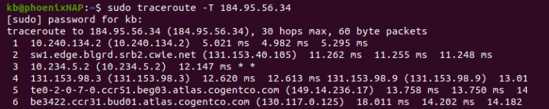 traceroute -T terminal output