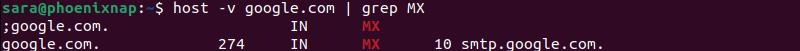 host domain grep MX terminal otput