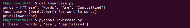 Lowercase words list Python output