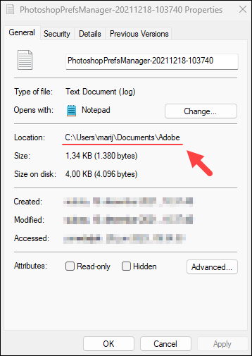 Checking a file's absolute path in Windows.