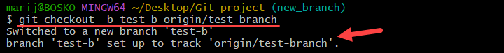 Creating a new branch with git checkout.