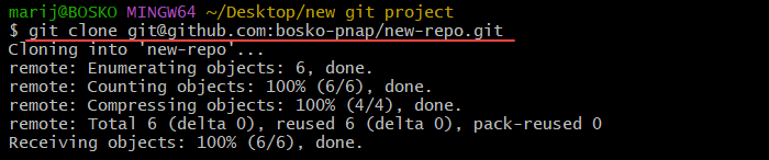 Cloning the Git repository via SSH using  Git Bash.