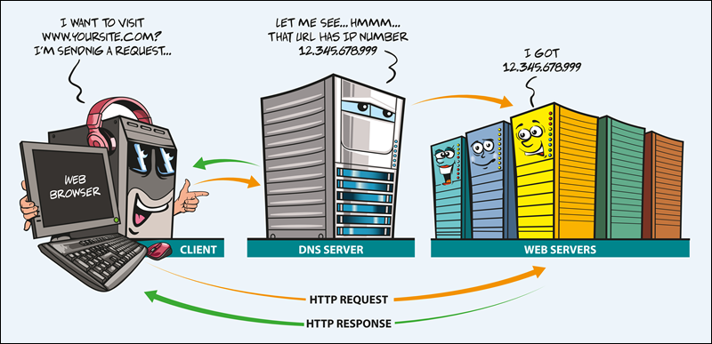 DNS server resolving IP addresses.