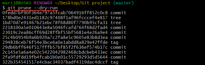 Performing a dry run of git prune.