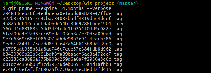 Pruning Git objects older than a specific time.