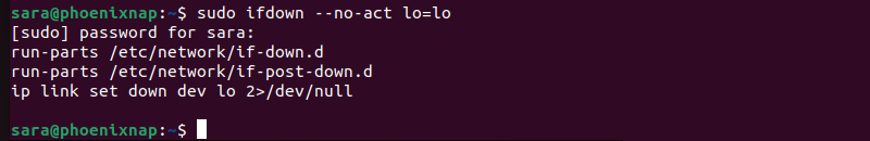 sudo ifdown --noact lo=lo terminal oitput