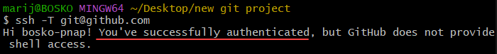 Checking the Git SSH connection in Git Bash.
