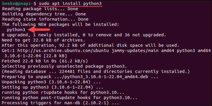 Installing Python 3 on Ubuntu via the apt package manager.