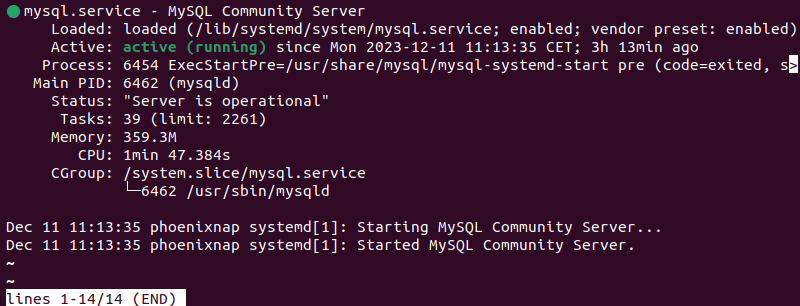 sudo systemctl status mysql terminal output