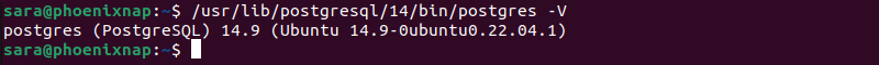 /usr/lib/postgresql/14/bin/postgres -V terminal output