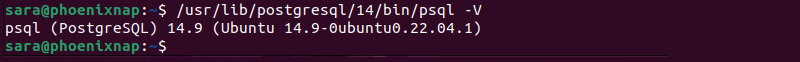 /usr/lib/postgresql/14/bin/psql -V terminal output