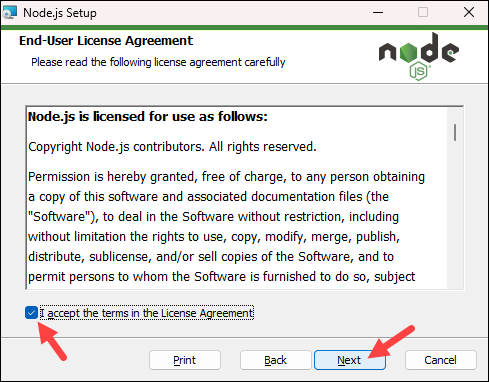 Accepting the Node.js License agreement.