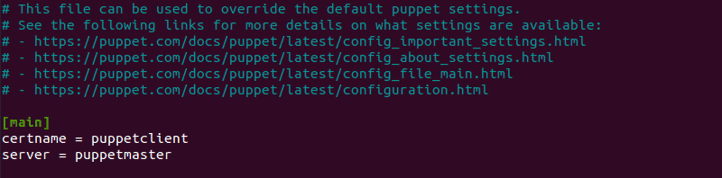 Changing puppet configuration file on the client node