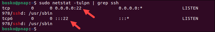 The output shows that the SSH server is listening on all available IPv4 and IPv6 interfaces on port 22.