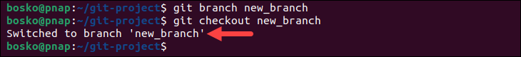 Create a new git branch and switch to it.