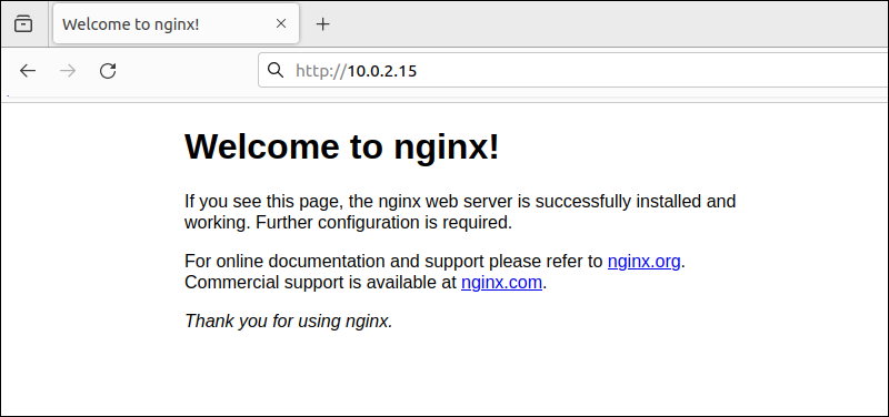 Nginx landing page
