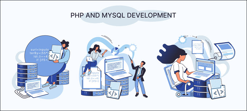 Using PHP and MySQL to develop web applications.