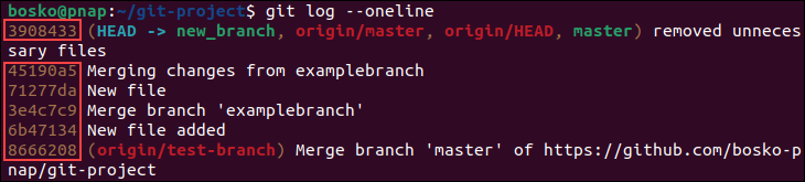 Showing the git log to obtain a hash key.