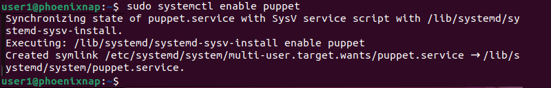 sudo systemctl enable pupper terminal output